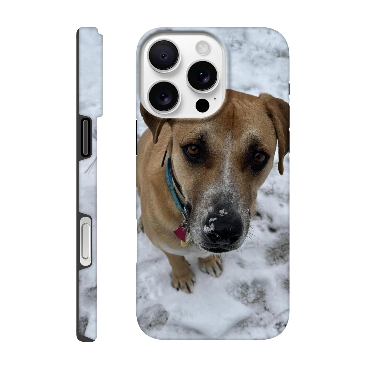 0c14db9e-4426-48f3-af24-442d49d6bd22