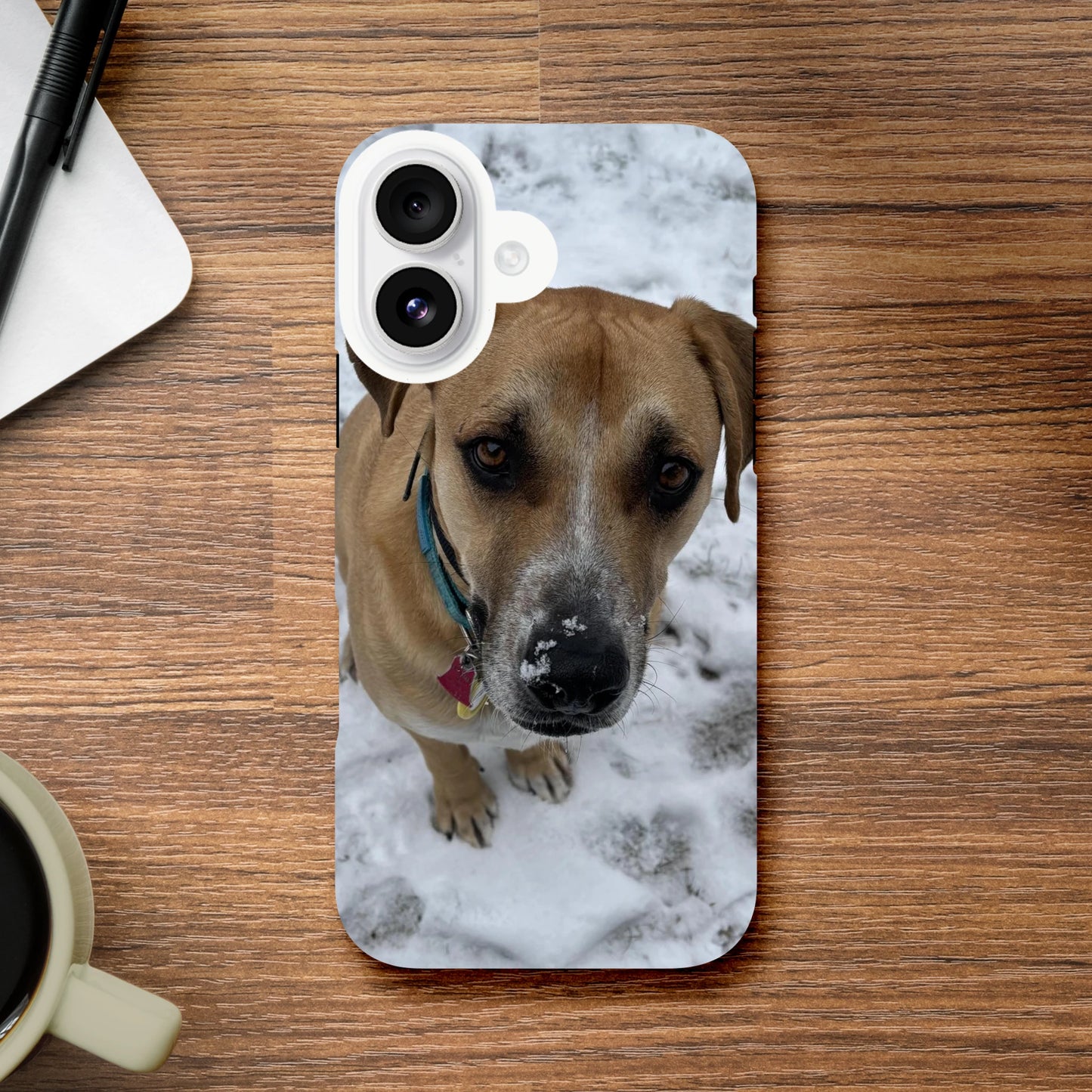 2da37484-065c-4b71-930e-0a4df2665af0