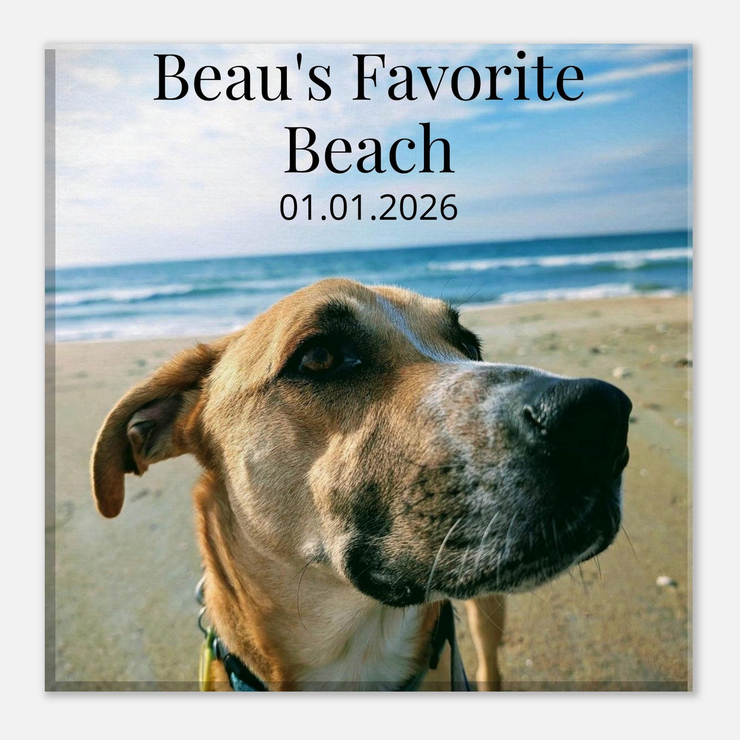 45808e1d-5f2f-4e4d-bfe4-fced792da157