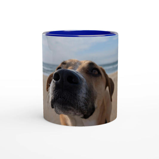 63743fa2-1766-4fcf-b6c1-b13231ca155c