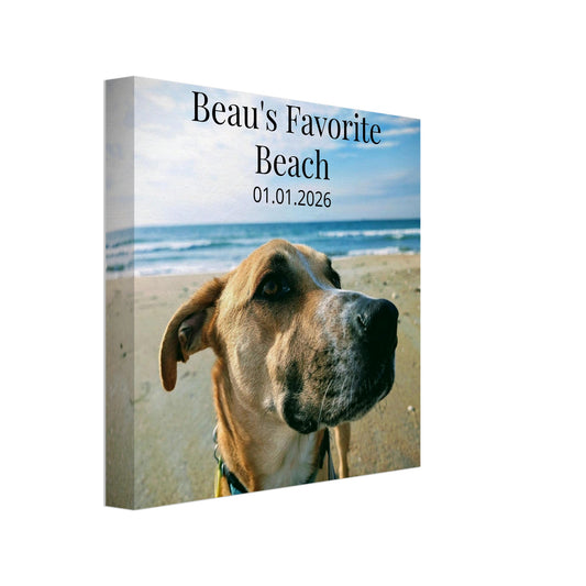 7ccd980d-ac0b-4e06-9211-73019cf27ad3