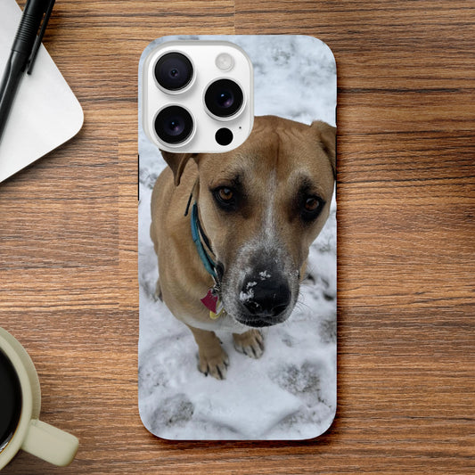 89fe2e52-7e86-4f81-b3f2-eb1feb6a0b37