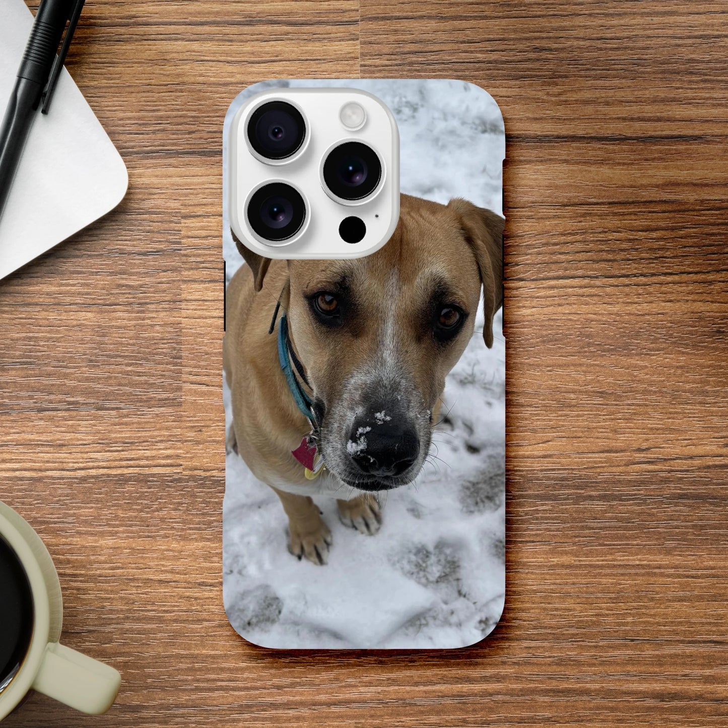 92ceb25b-90e5-4306-8ccd-02a1bbea147c