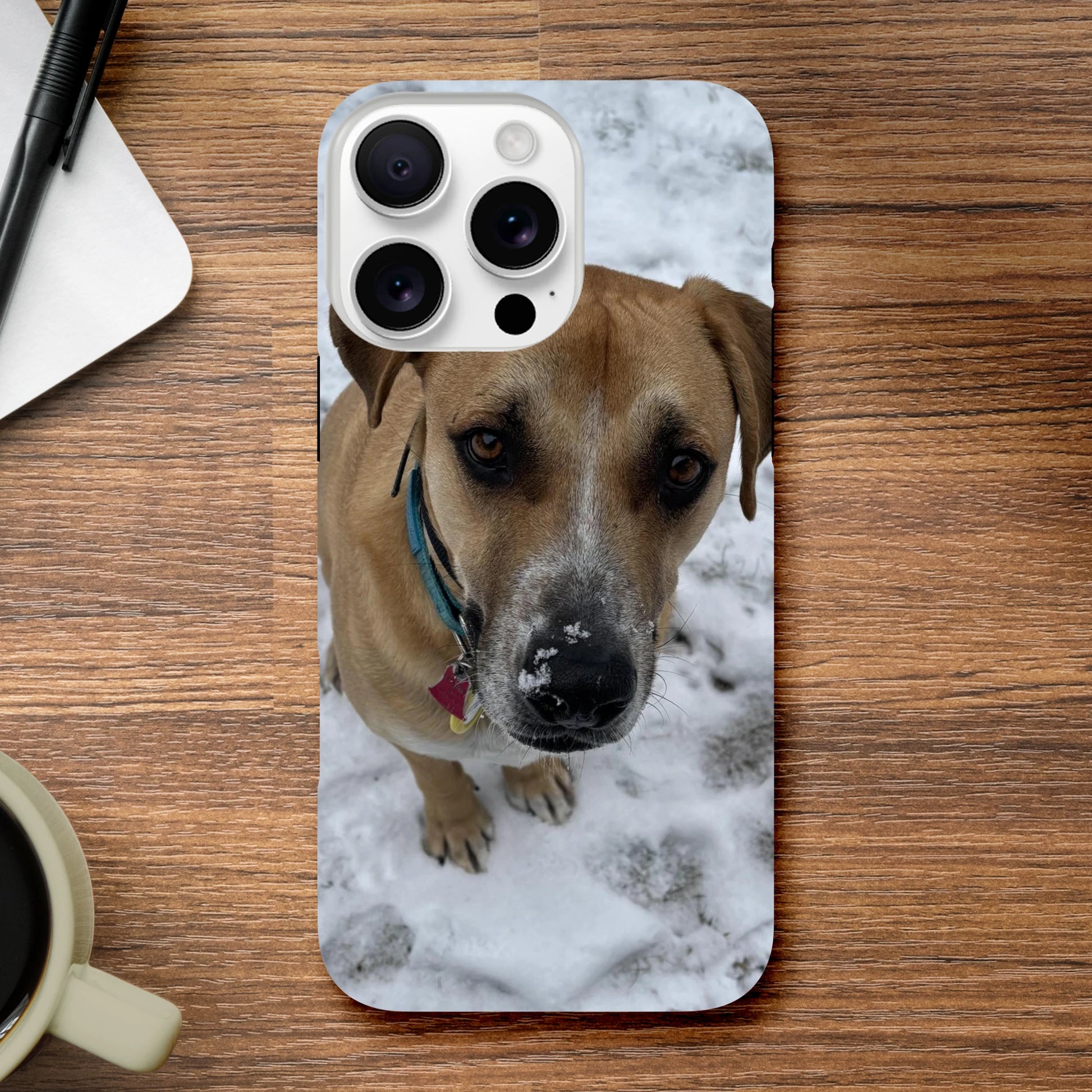 a47e03d8-cb05-449a-9a80-fcaac3fcdc71