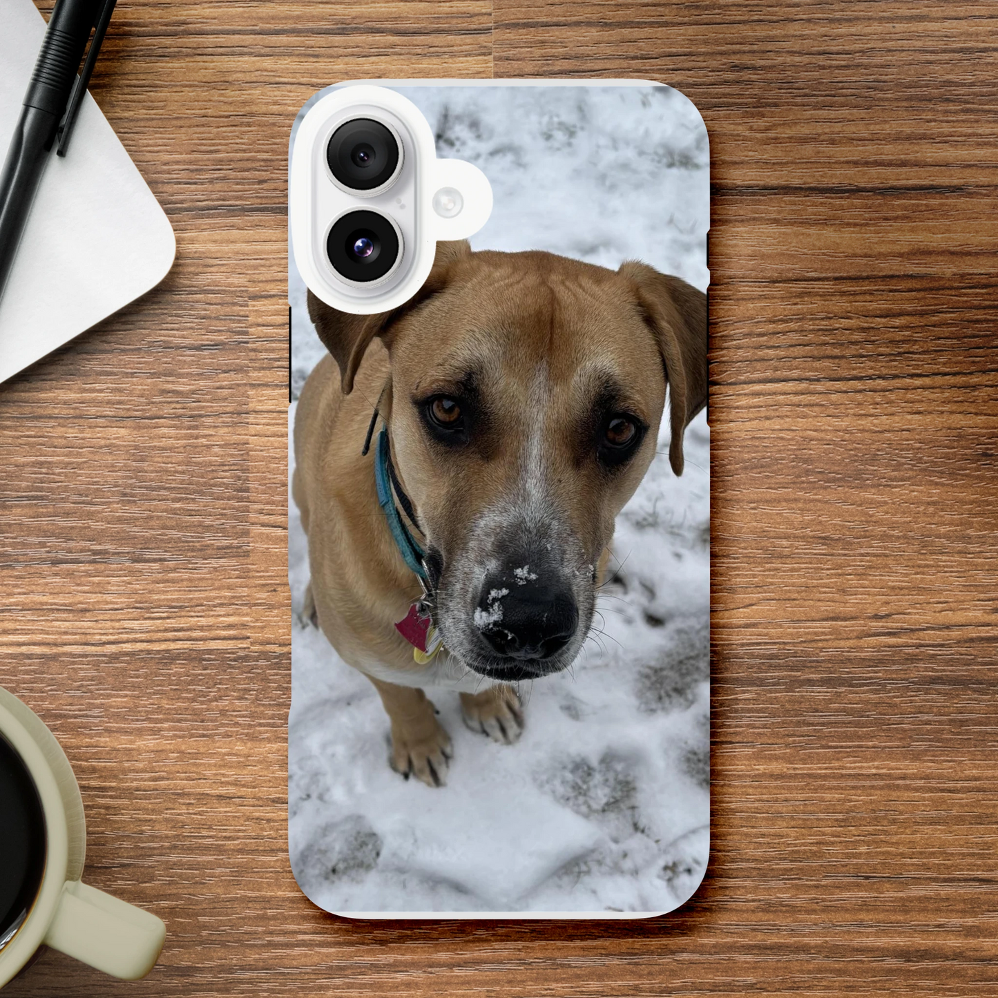 afd47200-6227-4730-9a4a-93d337d9facf