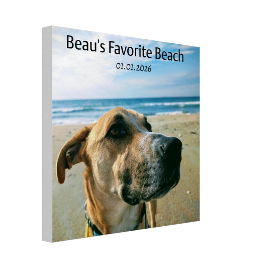 e6c4d0e3-339f-4b91-a191-94c4a5f13126